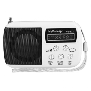 Mini radio cu ceas WS-822