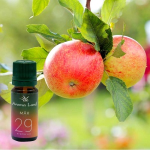 Ulei parfumat Aroma Oil Mar 10 ml - Img 2