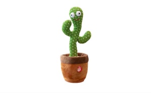 Cactus dansator si vorbaret, 28 cm
