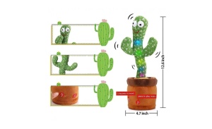 Cactus dansator si vorbaret, 28 cm - Img 2
