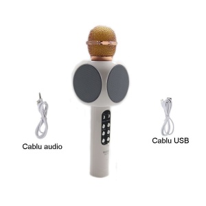 Microfon pentru karaoke, bluetooth, boxa 3W, radio FM, slotcard TF, USB, Android iOS - Img 7