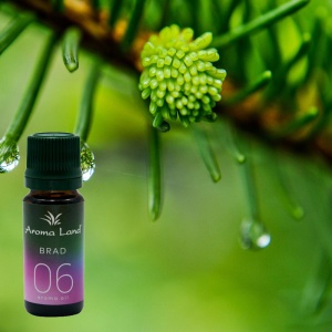 Set 5 uleiuri volatile, Parfumuri de Craciun, Aroma Land, 10 ml - Img 3