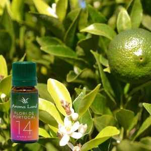 Ulei parfumat Aroma Oil Flori de portocal 10 ml - Img 2