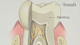 Smaltul dentar