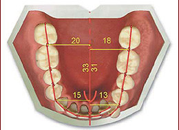 Generalităţi despre ocluzia dentară