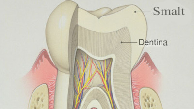 Smaltul dentar