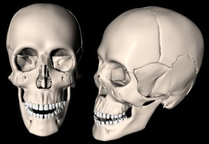 craniu 3d