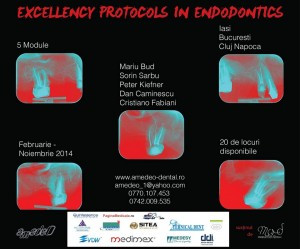 excellency protocols in endo
