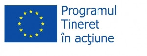 program tineret in actiune