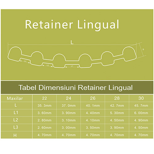 Tabel marimi retainer palatinal maxilar superior