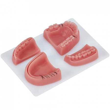 Modele silicon suturi chirurgie orala 4buc