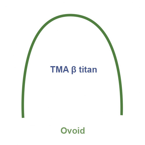Arc TMA beta titan ovoid 1buc