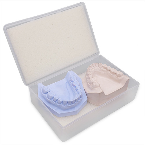 Cutie cu burete transport modele dentare TB01