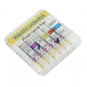 Ace endodontice Protaper S1 WestCode 25mm