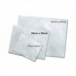 Biomend Extend Membrana Colagen 20x30 mm