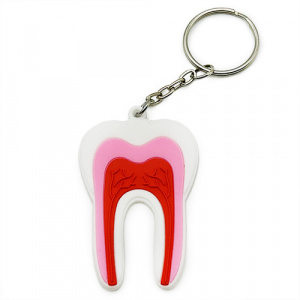 Breloc molar cu camera pulpara DE-875
