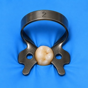 Clema De Diga Premolari #2 Black Coated Cu Aripioare