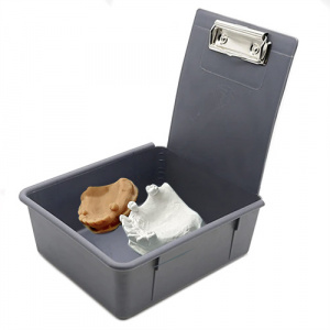 Cutie color organizare modele laborator 17X15 gri