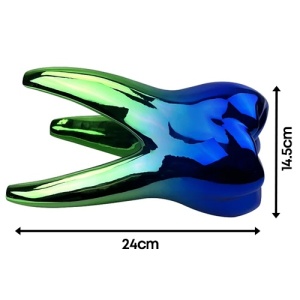 Dinte Gradient Albastru-Verde 24 cm 