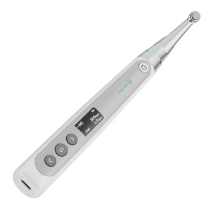 Endomotor fara perii BR Touch DPerfect