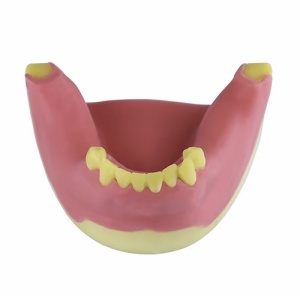 Model Educational Reparatie Defect Osos TM-227