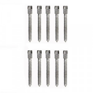 Pivoti endo titan set 10 bucati lungime 10 mm