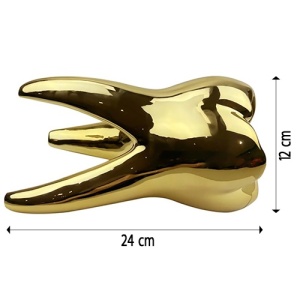 Dimensiuni dinte auriu 24 cm QT-082-B