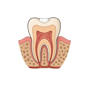 MD-Temp Plus White Meta Biomed Tooth