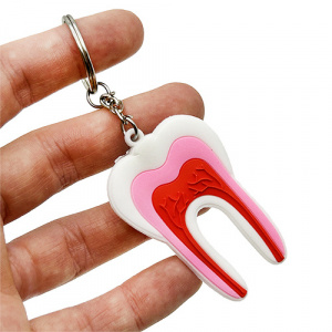 Breloc dentar molar cu camera pulpara DE-875