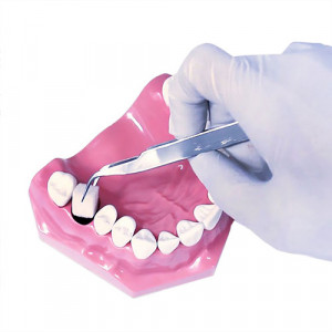 Burete hemostatic absorbant SURGISPON 8buc