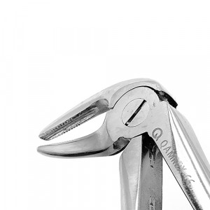 Cleste extractie resturi radacini cu cioc lung nr 33M