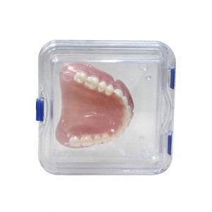 Cutie membrana transport lucrari dentare mari