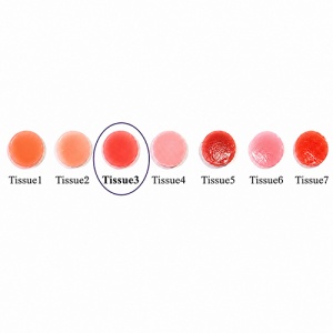 CZR Gingie Falsa Tissue 3 Dark 10g Ceramica Zirconiu