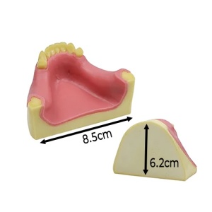 Model Educational Reparatie Defect Osos TM-227 Dimensiuni