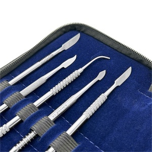 Trusa De 10 Instrumente Modelat Ceara 4006