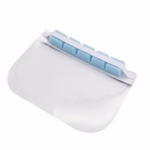 Viziera Protectie Fata Din Plastic Cu Burete