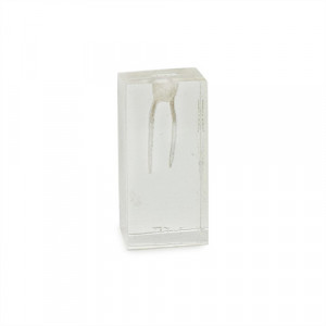 Endo block acrilic transparent YL-N1 4 bucati