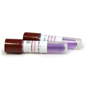 Indicator Biologic ECS 24H 20buc