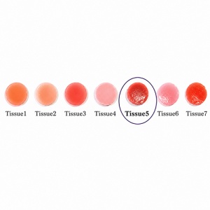 CZR Gingie Falsa Tissue 5 Opaque Red 10g Ceramica Zirconiu
