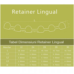 Tabel marimi retainer palatinal maxilar superior