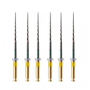 Ace HyFlex CM NiTi 20:.04 Coltene 31mm set 6 Ace