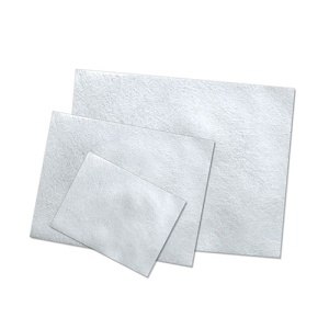 Biomend Membrana Colagen Resorbtie 8 Saptamani