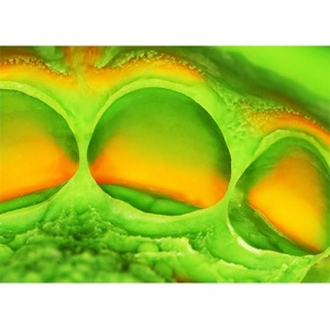 Silicon aditie Elite HD Light Fast Zhermack, 2x 50ml verde