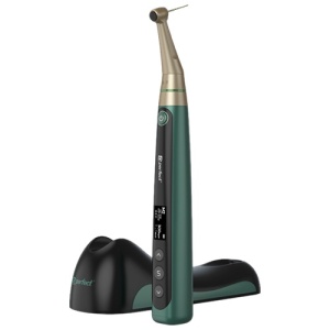 Endomotor fara perii BR Touch Perfect