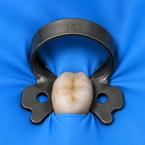 Clema De Diga Molari #14 Black Coated Cu Aripioare