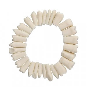 Garnitura completa de dinti cu surub pentru model YL-A1