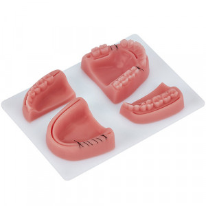 Modele silicon exersat suturi chirurgie orala 4buc.jpg