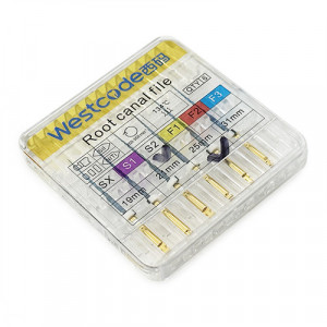Ace endodontice Protaper S2 WestCode 25mm