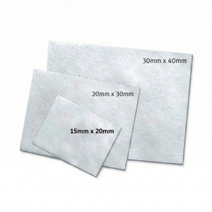 Biomend Membrana Colagen 15x20mm
