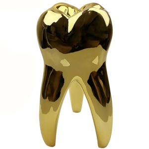 Dinte auriu 24 cm QT-082-B